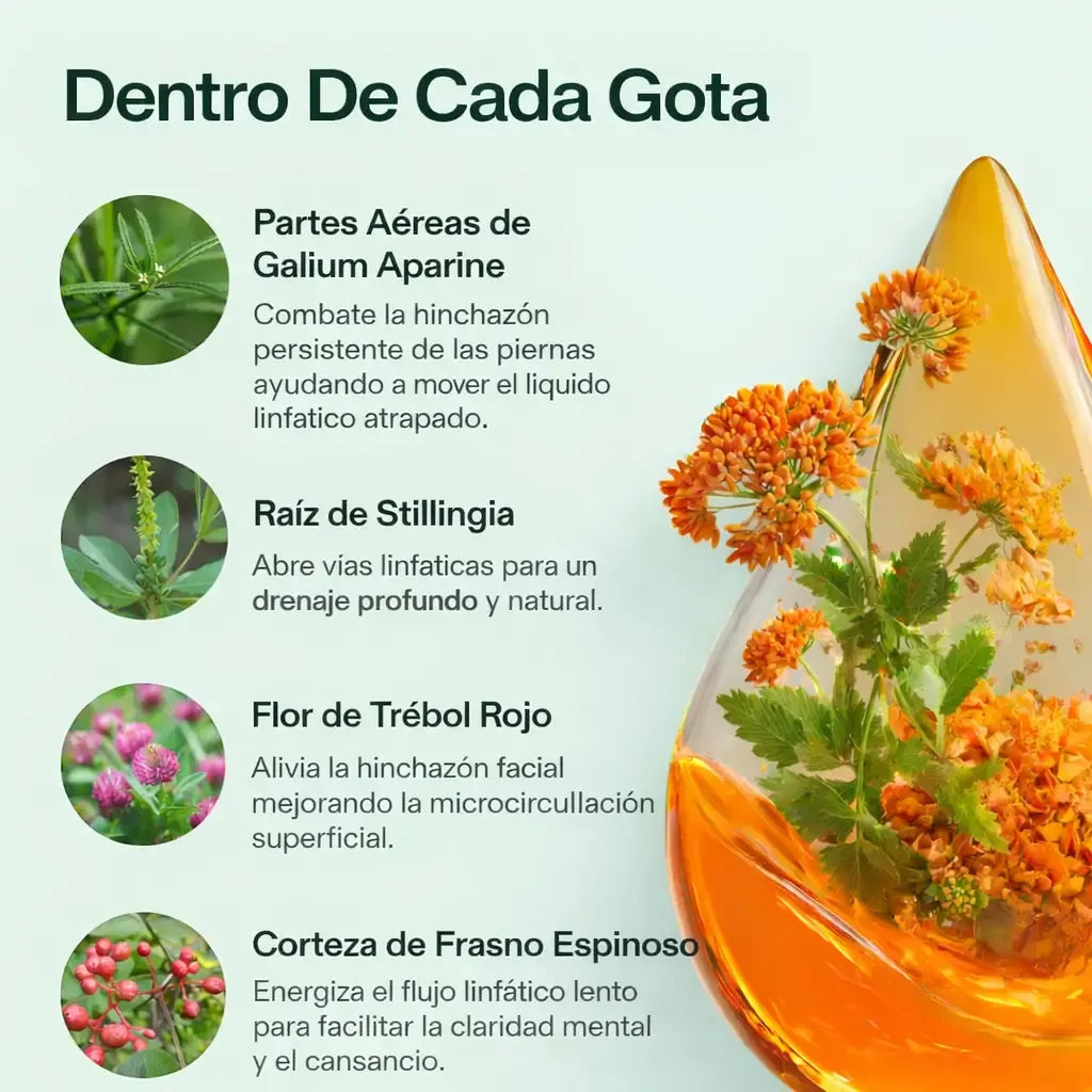 LYMPHATIC - DRENADOR LINFATIC - COMPRA 1 Y LLÉVATE 2